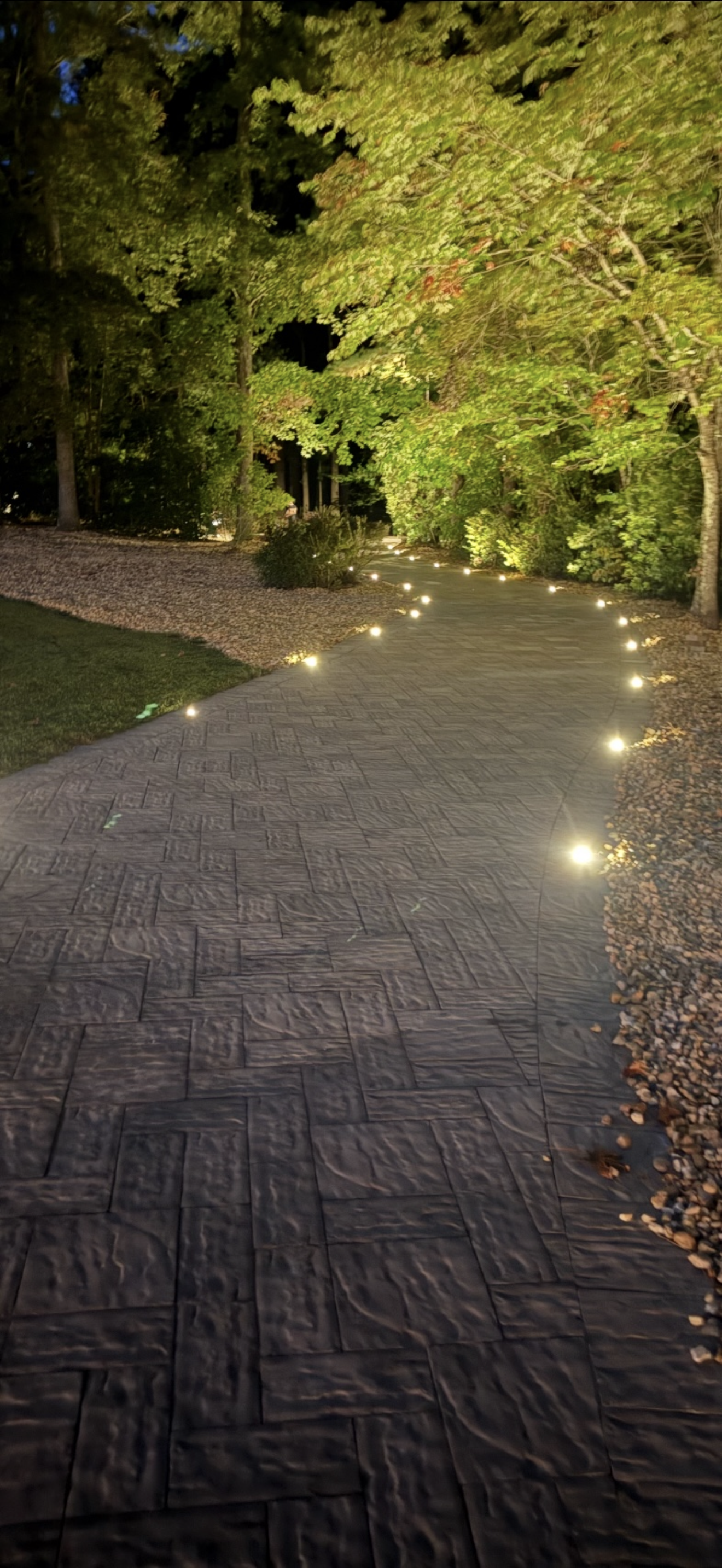Illuminated garden pathway